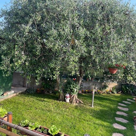Casa Vacanze Collina Del Lago Pastrengo Exterior photo
